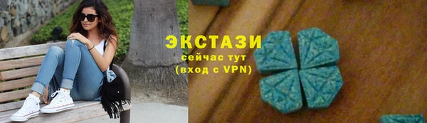 индика Бугульма