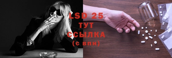 индика Бугульма