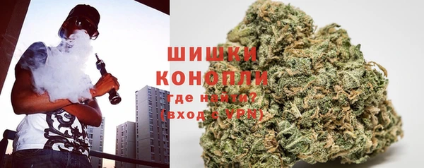 индика Бугульма