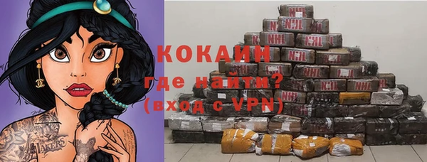 индика Бугульма